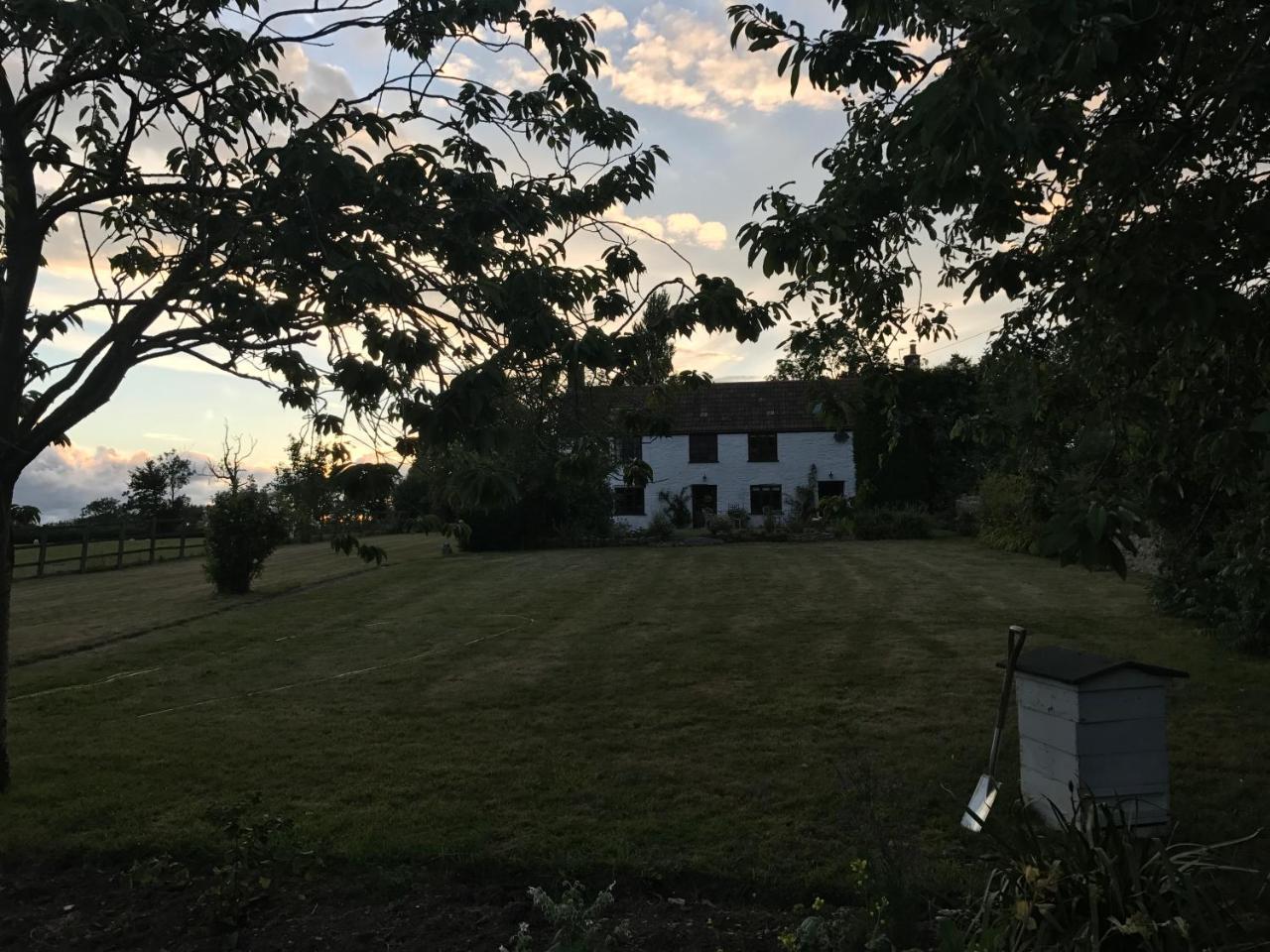 Mount Pleasant Farm Bed & Breakfast Wedmore Eksteriør bilde